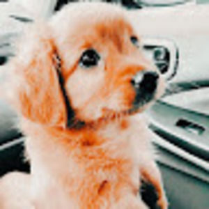 Meet your Posher, Cecilia